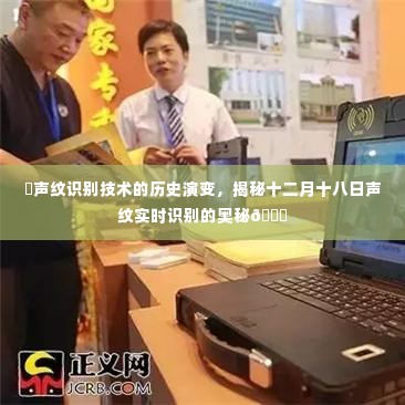 声纹识别技术的历史演变与实时识别奥秘揭秘，十二月十八日的揭秘之旅