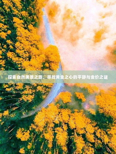 自然探索之旅，黄金之心之旅的平静与金价之谜