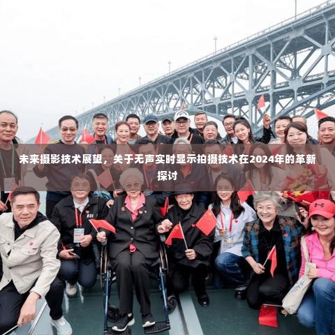 雍容华贵 第3页