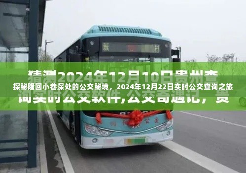 硕果仅存 第3页