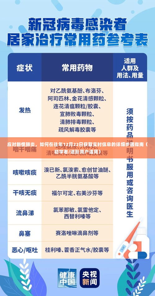 应对新惯肺炎，获取实时信息的详细步骤指南（适用于初学者与进阶用户）