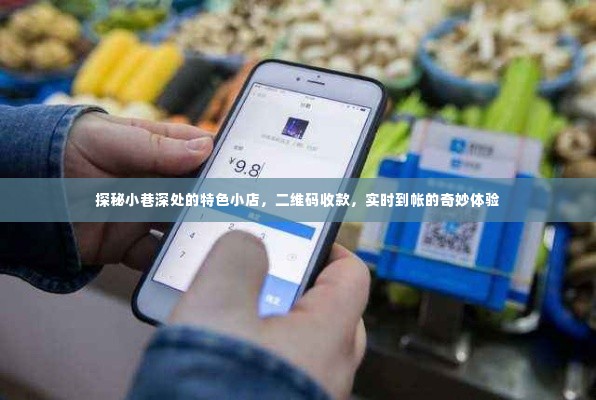 探秘小巷深处特色小店，二维码收款实时到账的奇妙之旅