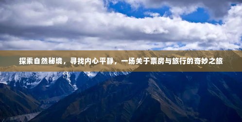 自然秘境探寻之旅，心灵宁静与票房的奇妙交汇点