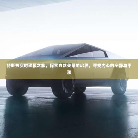 特斯拉实时建模之旅，探寻自然美景，追寻内心宁静与平和的启程