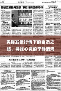 美锦发债行情下的自然之旅，心灵港湾探寻记