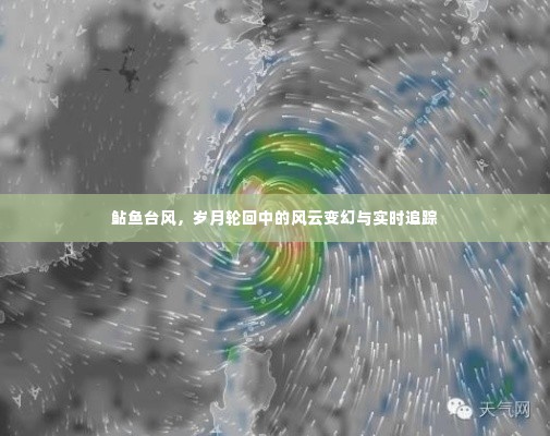 鲇鱼台风，风云变幻的岁月轮回与实时追踪报告