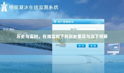 历史重现与当下观察，在线监控下的历史与实时探析