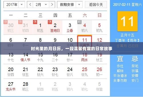 时光月历，温馨日常的故事
