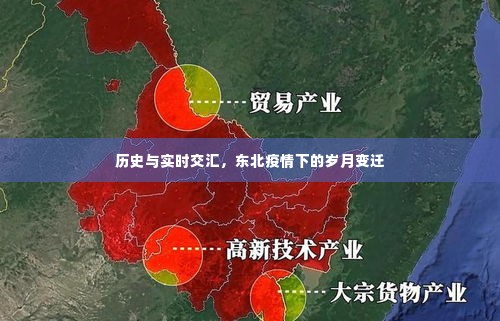 东北疫情下的岁月变迁，历史与实时的交汇点