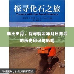 鹿王岁月，探寻历史印记与影响，特定年月日的背后故事