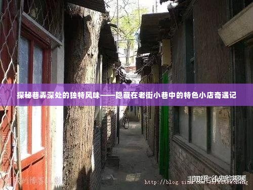 老街小巷的味蕾探险，独特风味小店奇遇记