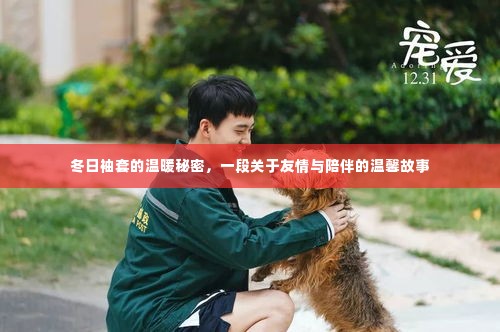 冬日袖套的温暖秘密，友情与陪伴的温馨篇章