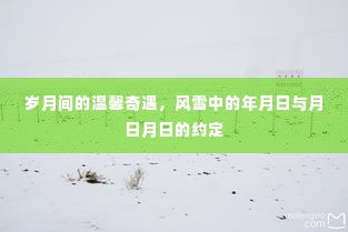 岁月温馨奇遇，风雪中的年月日之约与月日月日的浪漫约定