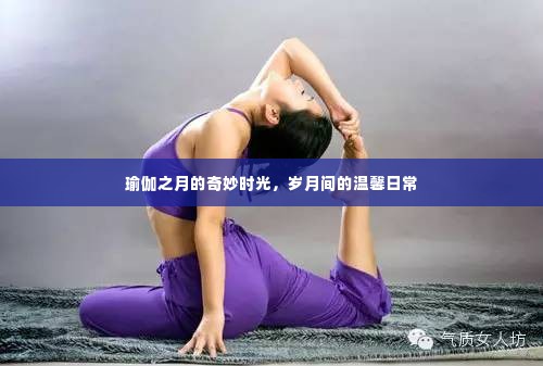 瑜伽之月下的温馨日常时光