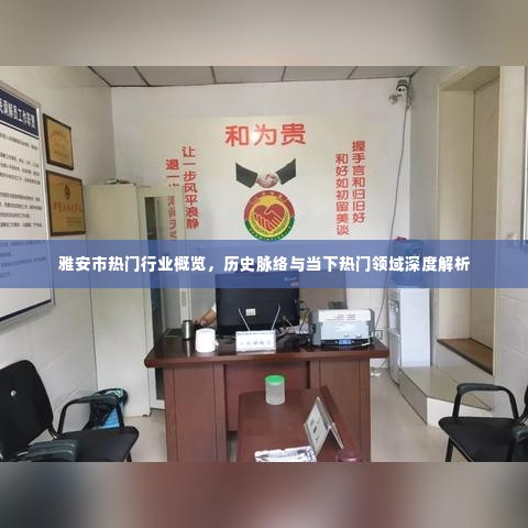 雅安市热门行业深度解析，历史脉络、当下领域与概览