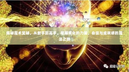 熊经鸟申 第3页