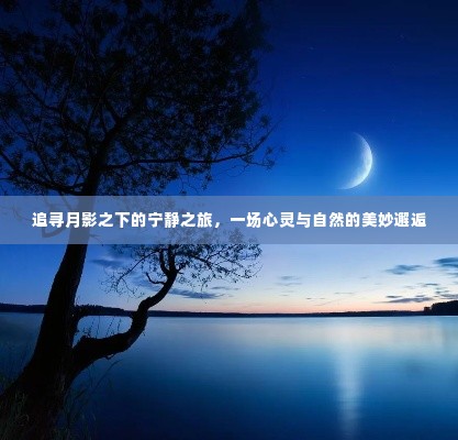 月影之下的心灵与自然，宁静之旅的美妙邂逅