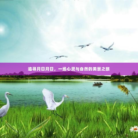 追寻月日月日，心灵与自然的绝美之旅