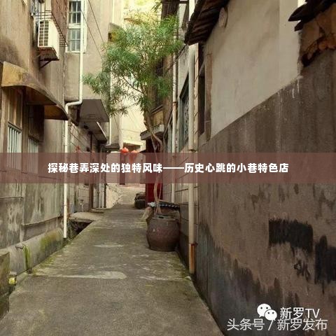 巷弄深处的独特风味，历史心跳的小巷特色店探秘