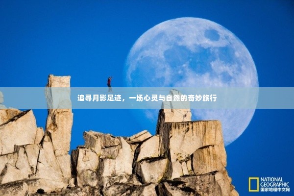 月影足迹，心灵与自然的梦幻之旅