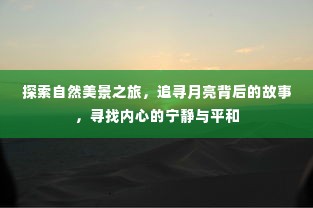 探寻自然奥秘之旅，月下故事与内心宁静的追寻