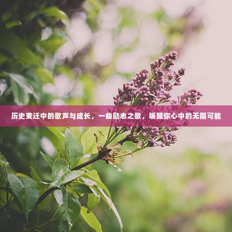 历史变迁中的歌声与成长，唤醒无限可能的励志之歌