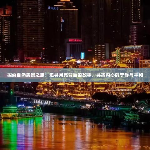 没张倒置 第3页