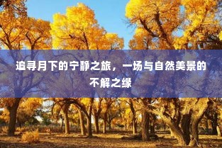 月下追寻宁静之旅，与自然美景的邂逅奇缘