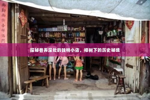樟树下的秘境，巷弄深处的独特小店探秘