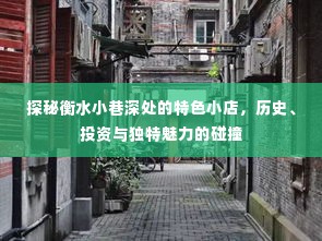 衡水小巷深处的独特小店，历史、投资与魅力的探秘之旅