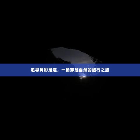 初告白 第3页