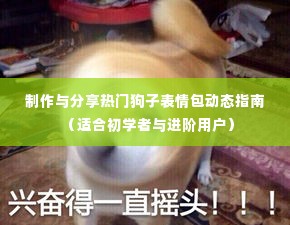 热门狗子表情包制作与分享动态指南，初学者与进阶用户实操指南