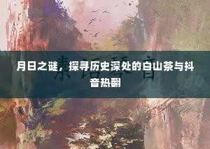 月日之谜，白山茶的历史深处与抖音热潮探索