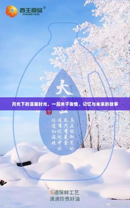 月光下的友情记忆，温馨时光与未来展望