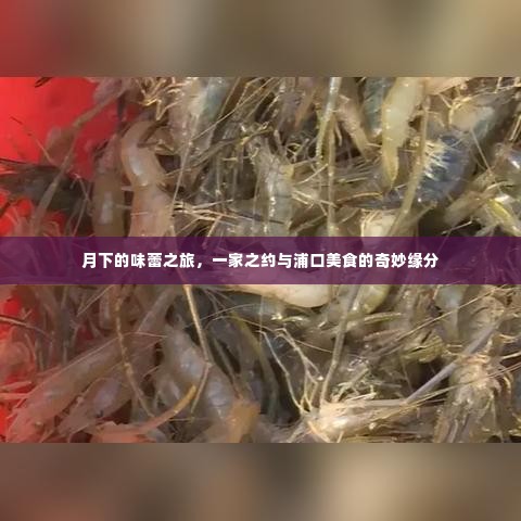 月下味蕾之旅，家庭之约与浦口美食的奇缘