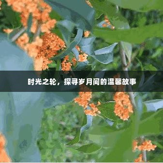 时光之轮，探寻温馨岁月的故事