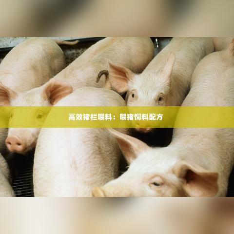 高效猪栏喂料：喂猪饲料配方 