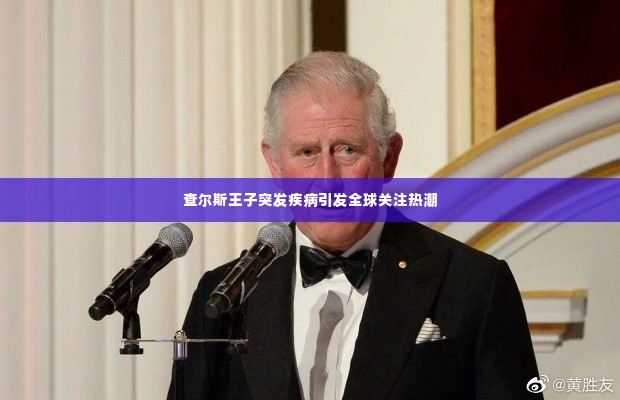 张袂成帷 第2页