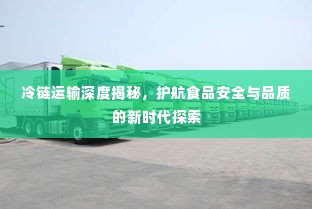 冷链运输深度揭秘，护航食品安全与品质的新时代探索