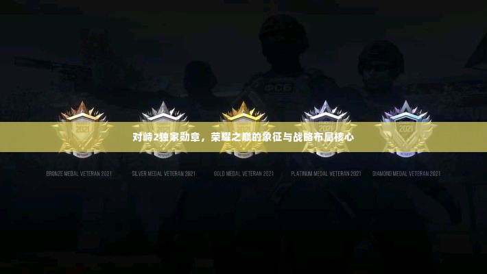 对峙2独家勋章，荣耀之巅的象征与战略布局核心