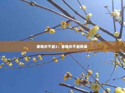寒梅折不断2：寒梅折不断网盘 