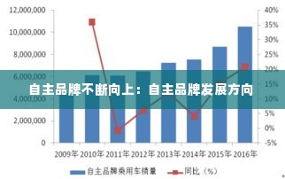自主品牌不断向上：自主品牌发展方向 