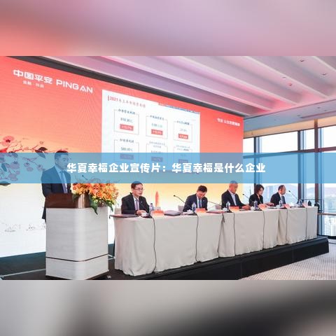 华夏幸福企业宣传片：华夏幸福是什么企业 
