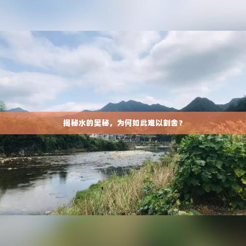 揭秘水的奥秘，为何如此难以割舍？