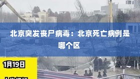 北京突发丧尸病毒：北京死亡病例是哪个区 