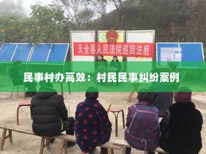 民事村办高效：村民民事纠纷案例 
