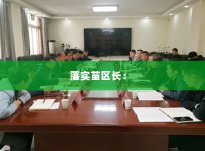 落实苗区长： 