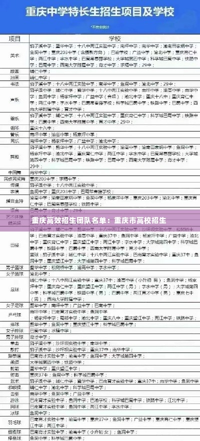 重庆高效招生团队名单：重庆市高校招生 