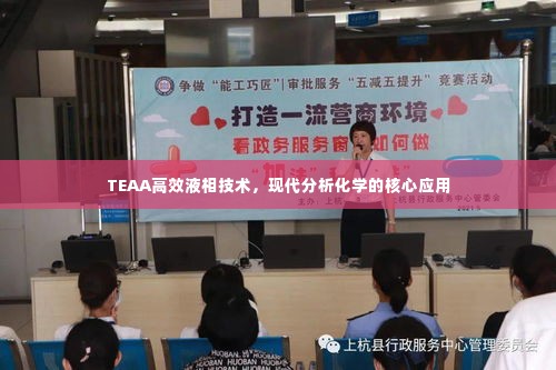 TEAA高效液相技术，现代分析化学的核心应用