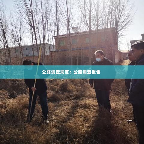 公路调查规范：公路调查报告 